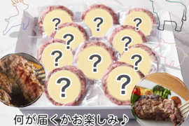 【福袋2025】何が届くかお楽しみ♪♪人気のハンバーグ4種からランダム詰め合わせセット　120g×12個