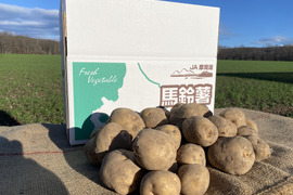 人気食材！キタアカリ(10kg)