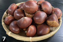 筑波の通販｜栗｜食べチョク｜産地直送(産直)お取り寄せ通販 - 農家