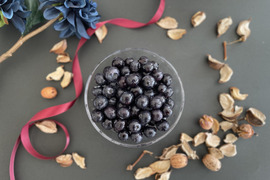 ✿冷凍ブルーベリー✿ ユーリカ中粒500g 　❃2025年度収穫❃農薬不使用