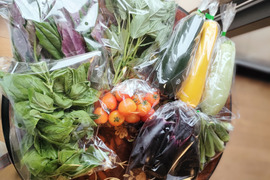珍しい野菜もあります！旬野菜ガチャ5から6連