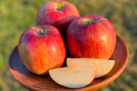 【2026年予約】『シナノスイート』家庭用  ジュワッと甘〜い人気品種！5kg