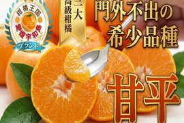 🍊入手困難な希少柑橘🍊柑橘王国だけが育てることを許された“本物の甘さ”『甘平』大容量パッケージ約3㎏【3月下旬予約】