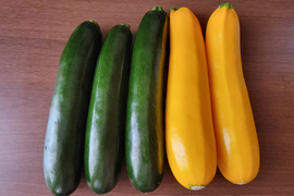 サラダでも食べられる大きなズッキーニ「緑・黄セット」約2kg（5~6本）