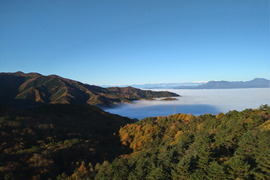 サンつがる　りんご　約５キロ　１８個〜２０個　できるだけ傷の無いりんごたち　鮮度保持の小さめ