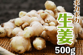 【農薬・化学肥料不使用】生姜500g 料理に使って冬でもポッカポカ♫