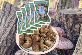 うまさ凝縮！熊本県産原木乾燥しいたけ３５０ｇ（70ｇ×５袋）