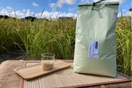 【新米】R5:ミルキークイーン玄米4.5kg（農薬不使用のお米）