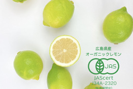 【レモン島からお届け♪】有機JAS認証！皮まで♪オーガニックレモン5kg