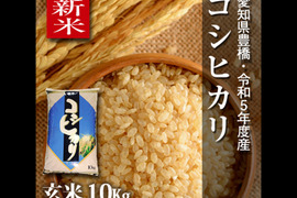 【新米】【節減対象農薬6割減】コシヒカリ 玄米10g【令和5年・愛知県産】