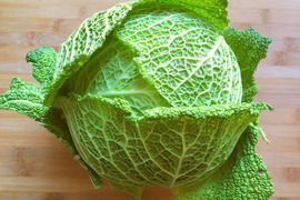 冬の定番！【京都産】　サボイキャベツ　２玉（約１kg）