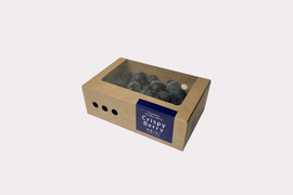 【冬の国産生ブルーベリー】100g×1pc