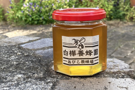 ⭐︎新発売⭐︎
非加熱無添加、西洋ミツバチの純国産はちみつ【200g】