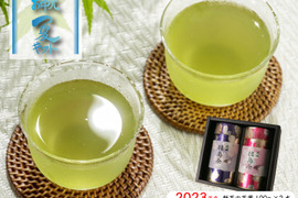 【夏ギフト お中元に】2023年 新茶 茶葉 100g×2本