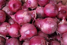 サラダなどの彩りに紫玉ねぎ　10kg