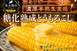 🌽日テレ出演で話題🌽【沼るリピーター続出】ギリギリまで糖化させた超濃厚朝採れとうもろこし☆大容量約2kg 【家庭用・贈り物】【お中元ギフト】2026年7月中旬予約