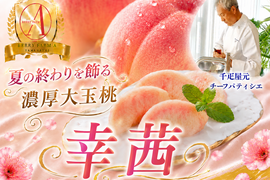 【晩生桃の傑作】噛むほどに旨味が広がる濃厚な甘みと大玉の存在感『幸茜』🍑品種指定キャンペーン🍑お試し約1.5kg【朝どれ】高級もも☆家庭用・贈り物にも贅沢お盆ギフト【8月上旬予約】