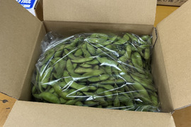 枝豆王国新潟から☆ブサイクなB品（1.5kg）　生産者は毎日この枝豆食べてます(^^)