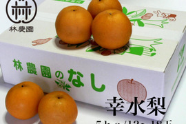 幸水梨（家庭用）　約5kg(10～18玉)