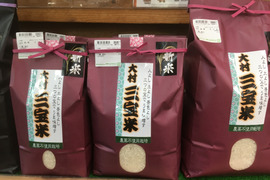 令和4年長崎県大村産米　精米 5㎏　栽培期間中農薬　除草剤　不使用