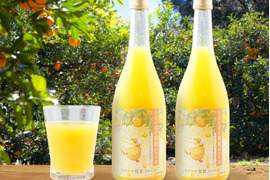 【数量限定】宇宙が喜ぶ甘夏100%ジュース 720ml×2本 　農薬 , 除草剤 , 化学肥料 不使用 , 愛情たっぷりで育てた甘夏のおいしさをぎゅっと搾りました！