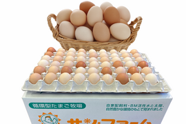 超稀少な初たまごSSサイズ108個入り（破損補償10個含む）【ひなたまこっこ 美味しい 卵焼き たまごかけごはん 卵 九州 送料無料 九州産 熊本産 新鮮】