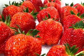 奇跡のいちご【ダイヤモンド越後姫 甘満の恵み】8粒  最上級品