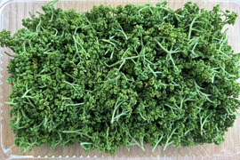 【春の香り】花山椒/はなさんしょう/天然/高級山菜/100g【4/13~15発送】【冷蔵便】