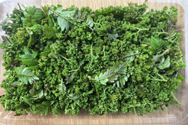 【春の香り】花山椒/はなさんしょう/天然/高級山菜/100g【4/8~4/10発送】【冷蔵便】