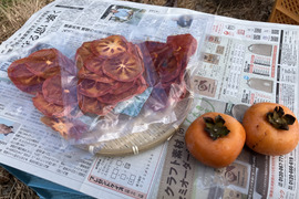 超希少！自然栽培ドライ柿スライス40g3袋♪