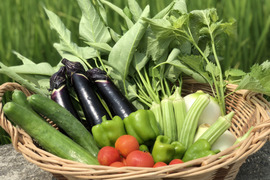 徳島産*自然農法(栽培期間中は化学肥料・農薬不使用)だからこそキレイで美味しい!全国500世帯に直販・人気のお野菜セット