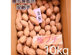 【絶品】大人気！安納芋 極プチサイズ 10kg(箱別)