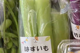 【はすいも】🥗８０サイズ箱いっぱい