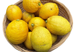 香り爽やか❗安心して使えるレモン栽培期間中農薬不使用2ｋｇ