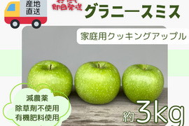 産地直送 アップルパイにオススメ クッキングアップル グラニースミス 3kg 訳あり ご家庭用 化学肥料及び除草剤不使用