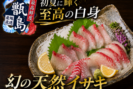 【白身の常識を覆す極上白身脂】初夏の限られた数週間しか出逢えない『幻の甑島天然イサキ』業界初パウダースノー冷凍最高鮮度🐟本格刺し盛りお試しキャンペーン約300g甑島ブランド【6月上中旬予約】