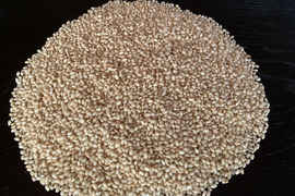 【自然栽培】ハッピーヒルもち米　玄米950ｇ　農薬不使用・無肥料栽培　令和７年　岐阜県産【クリックポスト発送】