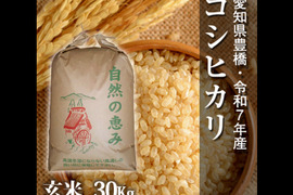【節減対象農薬6割減】コシヒカリ 玄米30g【令和7年・愛知県産】