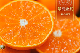 【みかんGP2026最高金賞】愛果48号【新品種】甘平×まどんな【紅プリンセスと同品種】家庭用 3kg