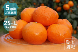 本物をお得に！ 木成り完熟🍊ご家庭用 有田みかん【サイズ混合・5kg箱】
