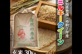 【節減対象農薬6割減】ミルキークイーン 玄米30g【令和7年・愛知県産】