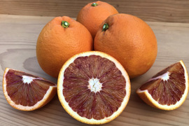 【農薬不使用】小ぶりなブラッドオレンジ（タロッコ種）　3㎏