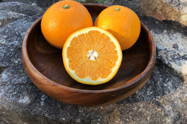 【農薬不使用】　八朔　2.5㎏