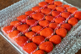 【春限定】よつぼしお楽しみパック【朝づみ直送】約450g