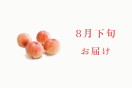 【8月下旬発送】桃好き必見！桃のリレーが楽しめる！季節の【桃】おうち用（もも）お試しセット 約4kg 約10~12玉