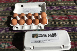 【加熱調理用】放し飼いの鶏が産んだ卵２０個入り
