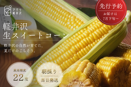【予約販売】【朝採り直送】軽井沢生スイートコーン 8本｜生でも甘い最高糖度22度以上｜まるでフルーツ。初めて！のお声沢山頂いています。　美味しい食べ方を同梱してします☆　7月下旬～発送開始予定