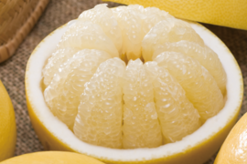 【家庭用7kg】濃厚ジューシー！南国高知の特産みかん「土佐文旦」柑橘みかん　オレンジ