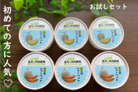 【訳あり】しまね夢メロン(低カリウムメロン)【青肉・赤肉】を使用したシャーベットお試しセット(6個入り)