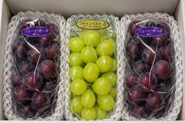 全国 送料無料！種無し大粒ぶどう糖度16度〜20度以上『シャインマスカット1房・ニューピオーネ２房』1200g以上3房セット箱入り